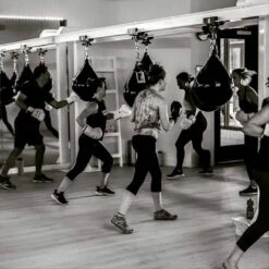 ProMountings IB-110R I-Beam Punch Bag Roller Mount -REFLEX Sales Shop promountings ib 110r i beam punch bag roller mount 7 4332 dv p