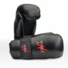 Reflex Pointfighter Gloves Black