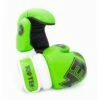 TOP TEN Glossy Block Pointfighter Gloves Green/Black