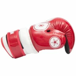 TOP TEN Glossy Block Pointfighter Gloves Red/White -REFLEX Sales Shop top ten glossy block pointfighter gloves red white 3 4445 p